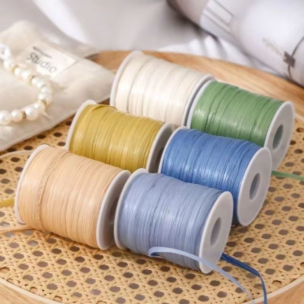 Premium Quality 120M Per Roll  - Crochet Bag Raffia review and price